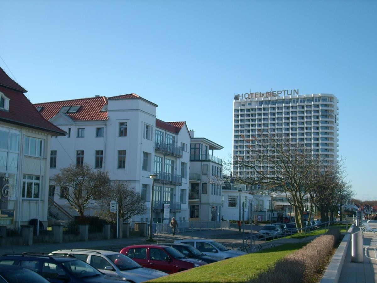 Silbermöwe