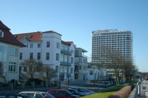 Silbermöwe