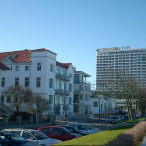 Silbermöwe