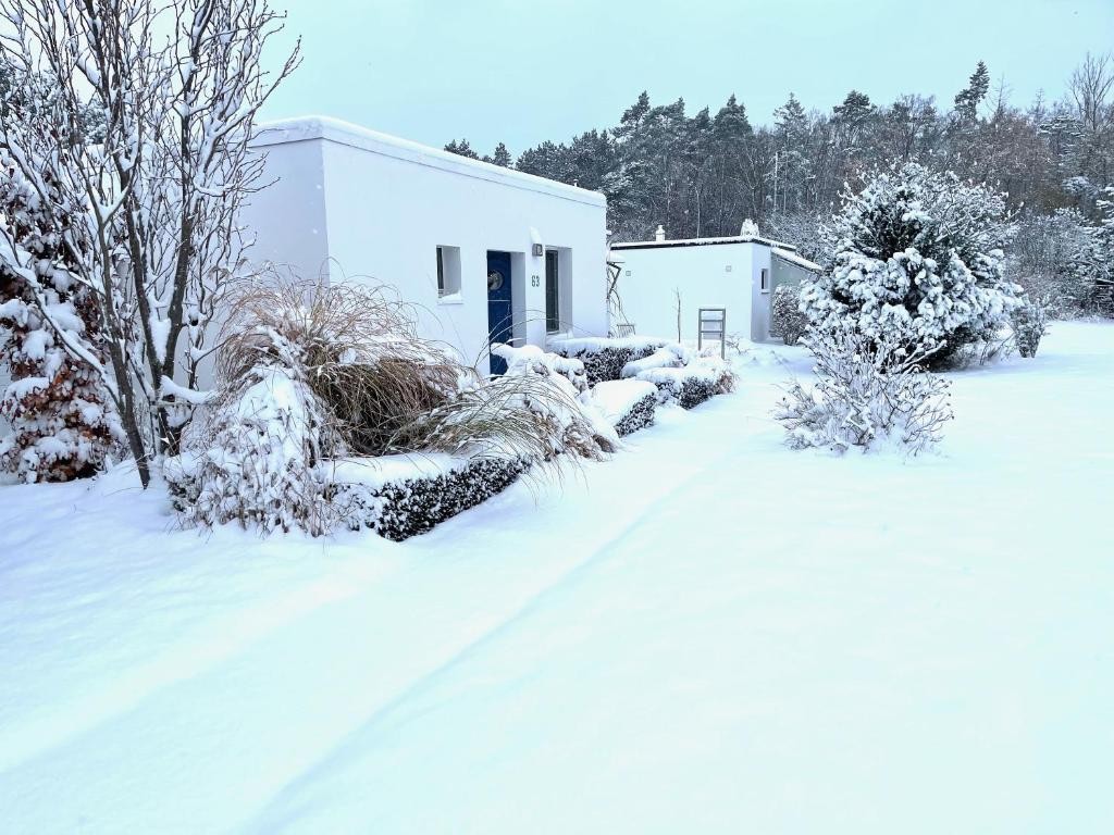 Ferienhaus Strandgut