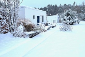 Ferienhaus Strandgut