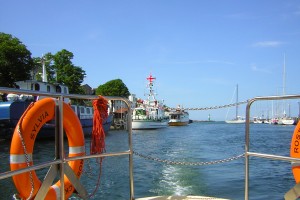 Muschel