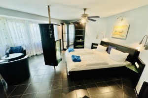 Residenz Seestern, Seenebel