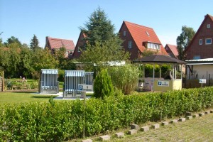 Strandhaus/Stranddistel