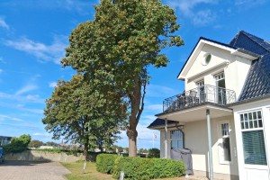 Lotsenhaus/Südblick