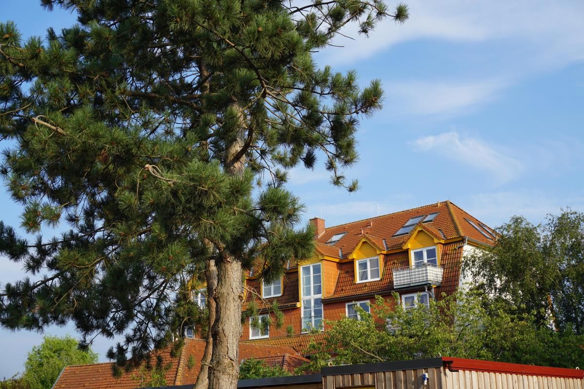 Landhaus Immenbarg / Sternsucher