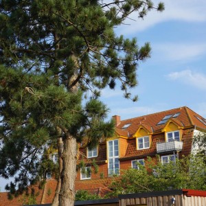 Landhaus Immenbarg / Sternsucher